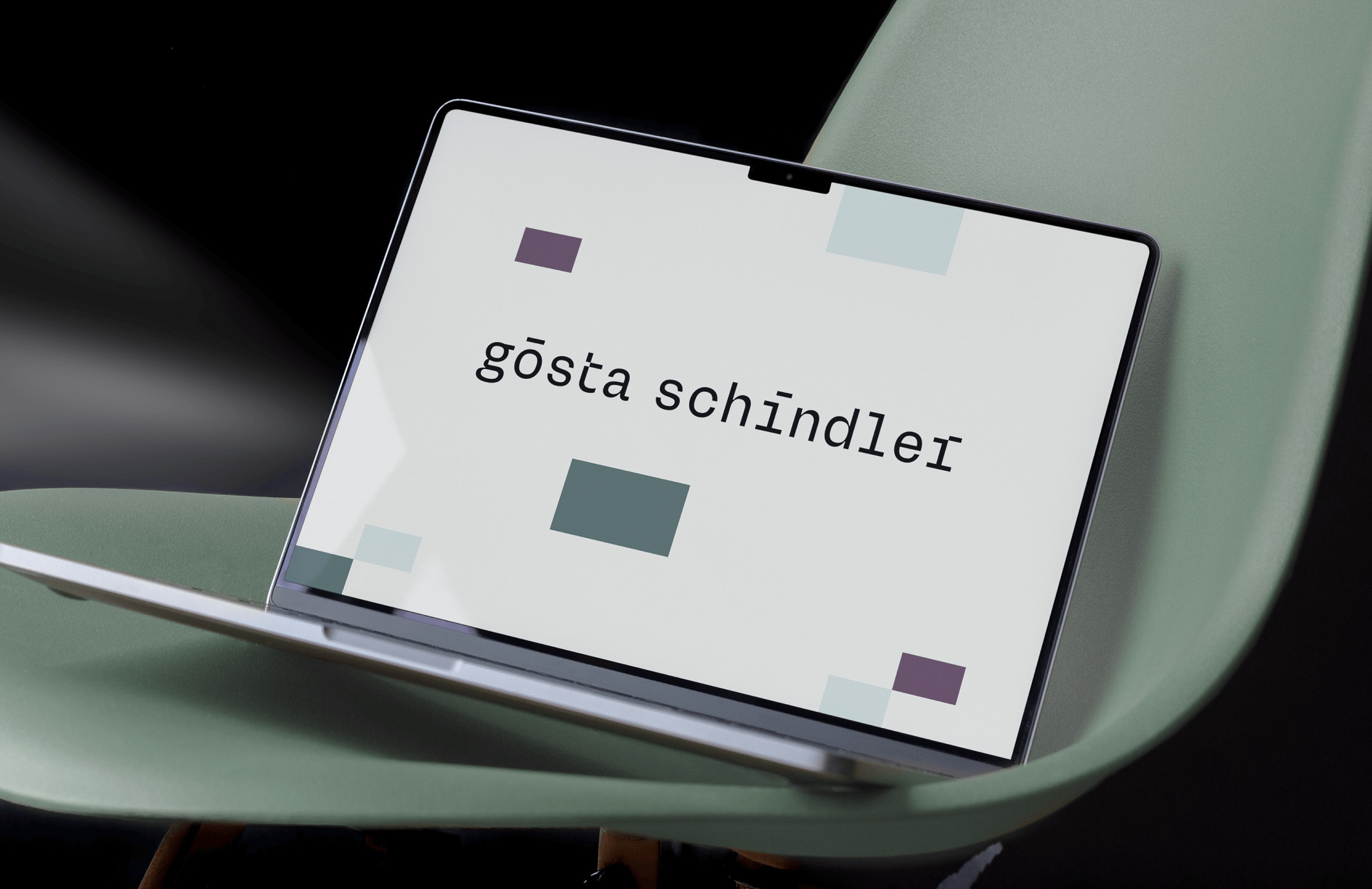 Gösta Schindler Coaching - Startseite