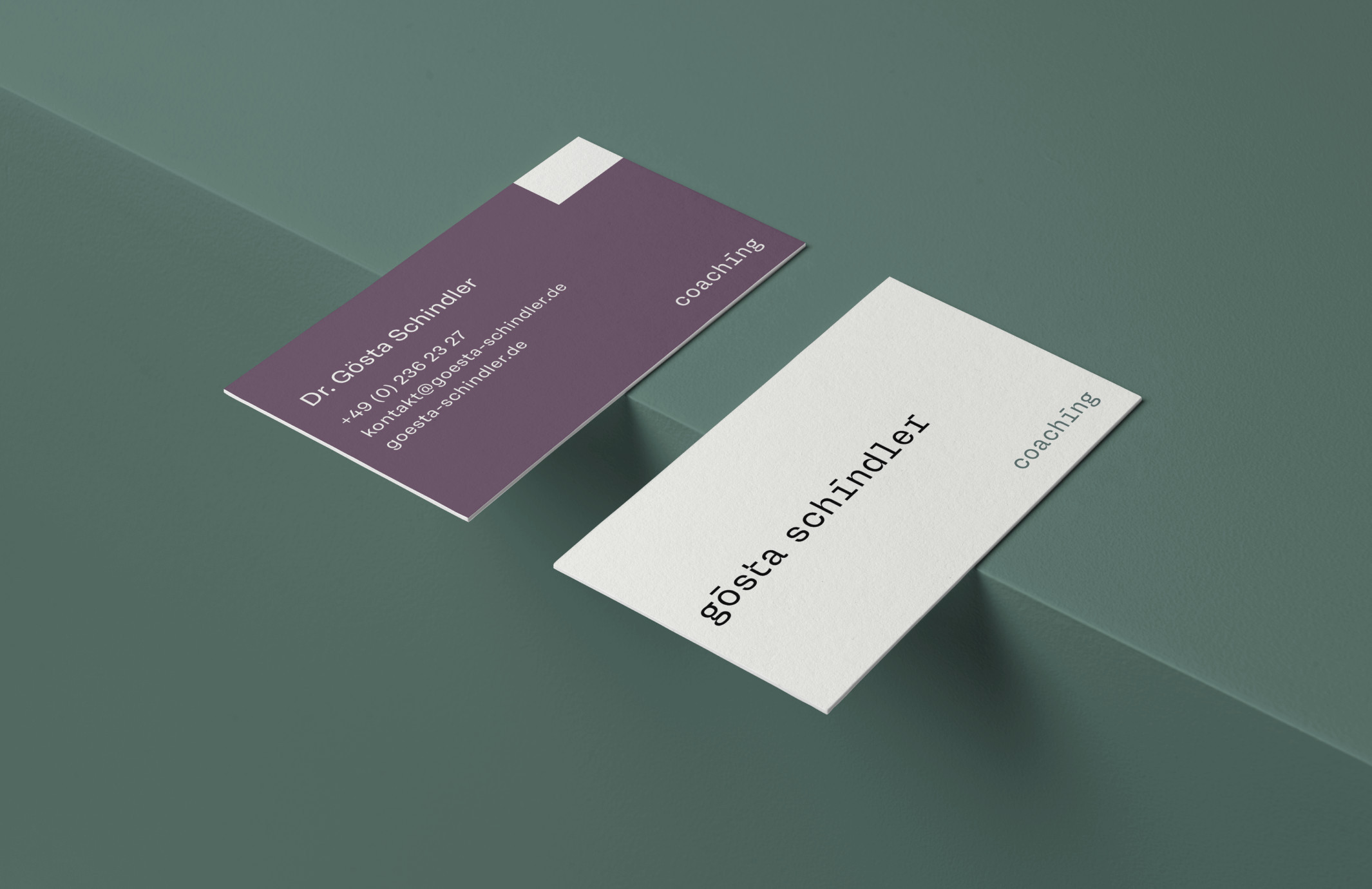 Gösta Schindler Coaching - Business Card